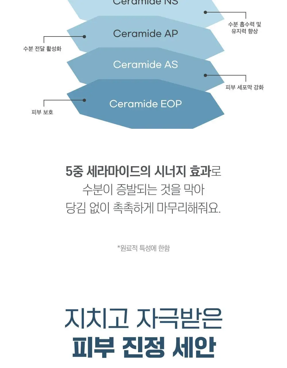 [안심세안] 라운드랩 1025 독도 클렌징 밀크 200ml 상세페이지 11